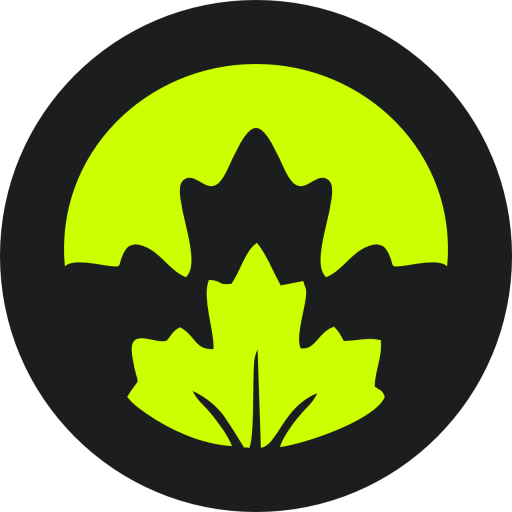 Content & Strategy - Maple Design Works
