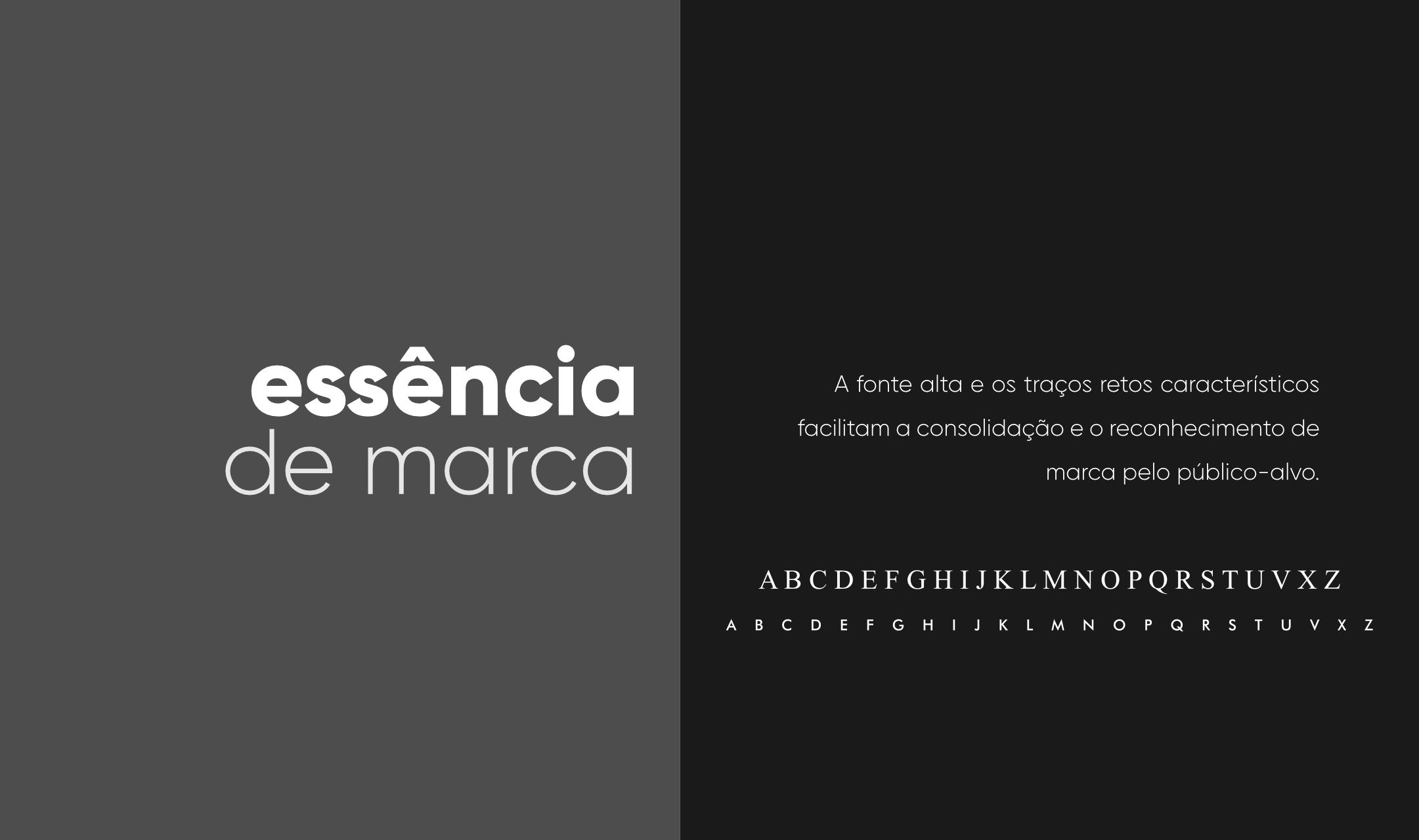 brand-guideline-casaforte02